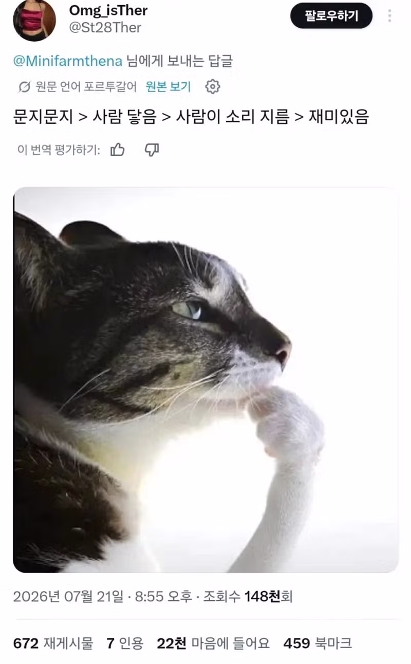 전기 속성을 깨달은 고양이 - 뽐뿌 인기글 이미지 2 - 밈카세