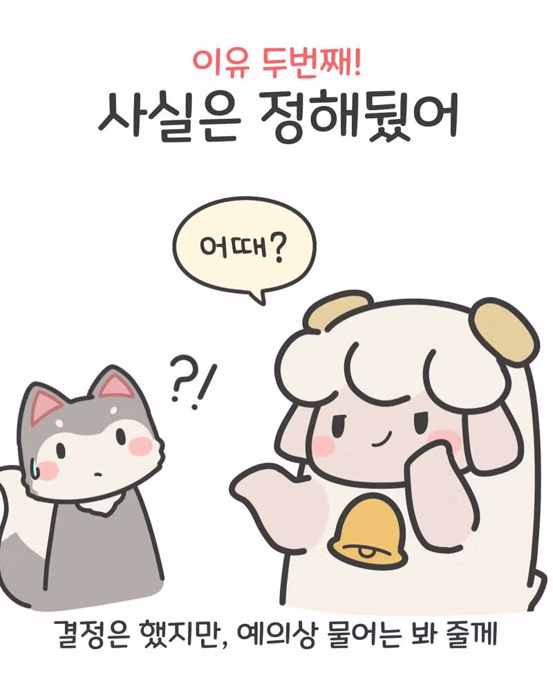 여친이 말하는 아무거나의 진짜 의미 5가지 - 디시인사이드 인기글 이미지 3 - 밈카세