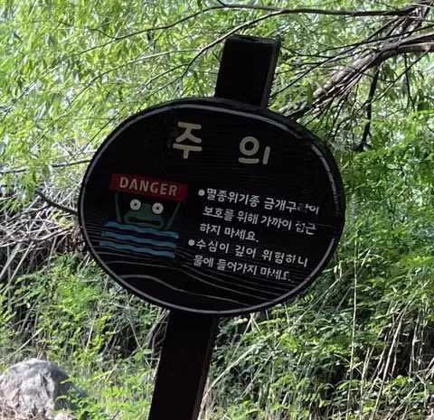 정신이 아득해지는 강렬한 한 컷 - 인벤 인기글 이미지 3 - 밈카세