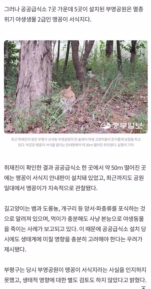 정신이 아득해지는 강렬한 한 컷 - 인벤 인기글 이미지 4 - 밈카세