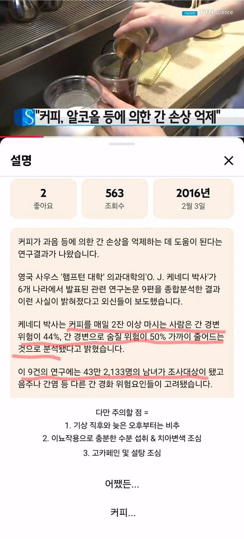 최근 건강 효능이 주목받고 있는 식품