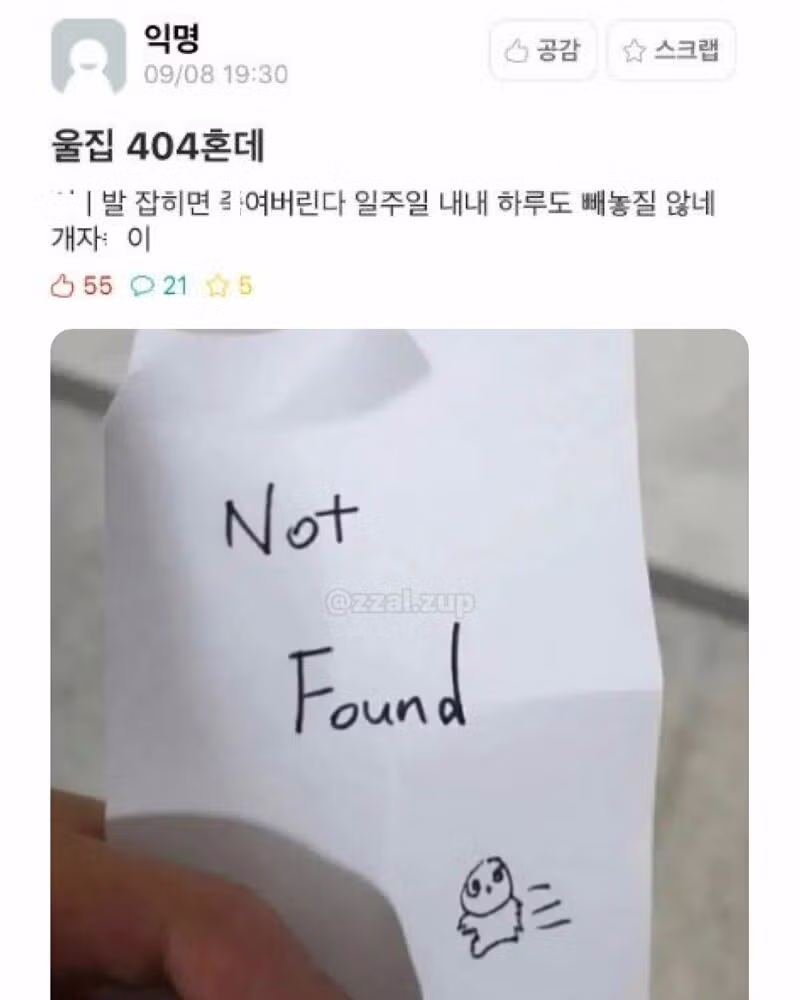 인터넷 세상의 다양한 모습들 - 인벤 인기글 이미지 2 - 밈카세