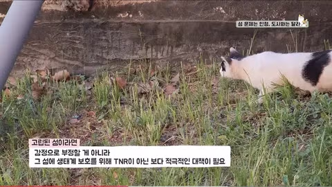 수의사의 기적의 논리 - 인벤 인기글 이미지 2 - 밈카세
