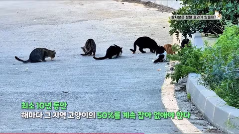 수의사의 기적의 논리 - 인벤 인기글 이미지 7 - 밈카세