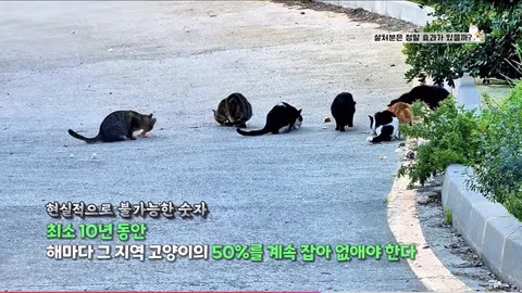 수의사의 기적의 논리 - 인벤 인기글 이미지 8 - 밈카세