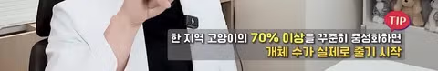 수의사의 기적의 논리 - 인벤 인기글 이미지 10 - 밈카세