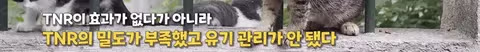 수의사의 기적의 논리 - 인벤 인기글 이미지 11 - 밈카세