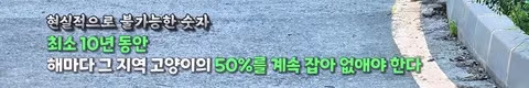 수의사의 기적의 논리 - 인벤 인기글 이미지 12 - 밈카세