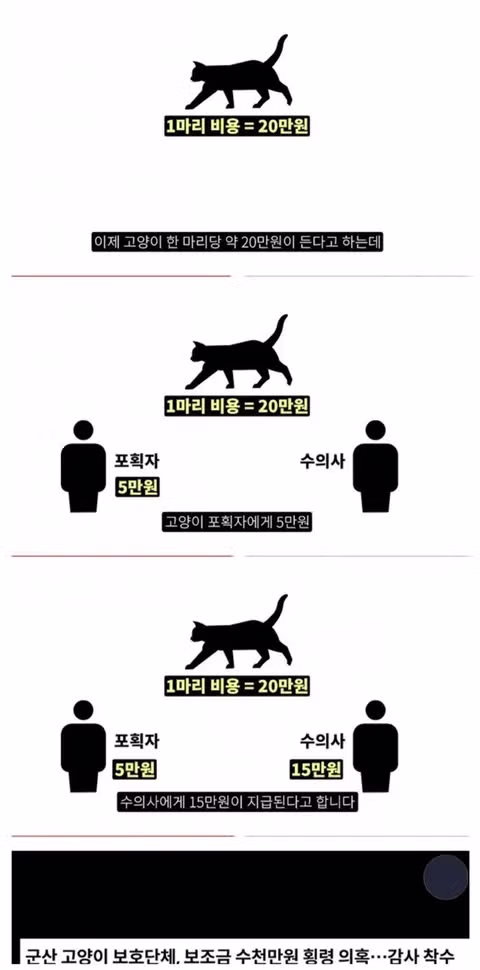 수의사의 기적의 논리 - 인벤 인기글 이미지 14 - 밈카세
