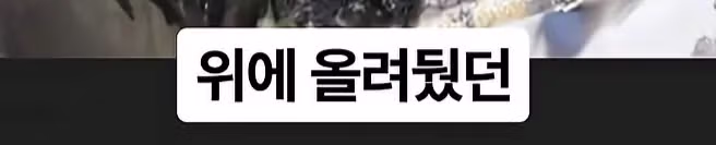 화재 현장 진입로를 막아버린 포크레인 - 디시인사이드 인기글 이미지 20 - 밈카세