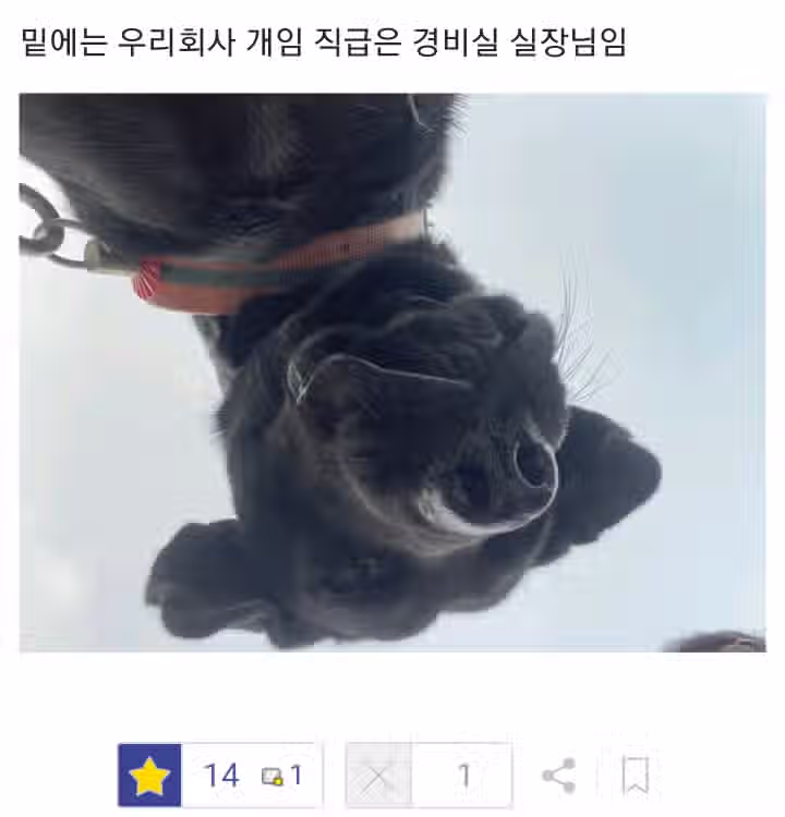 직원들 싸움 구경에 행복한 디시인 2