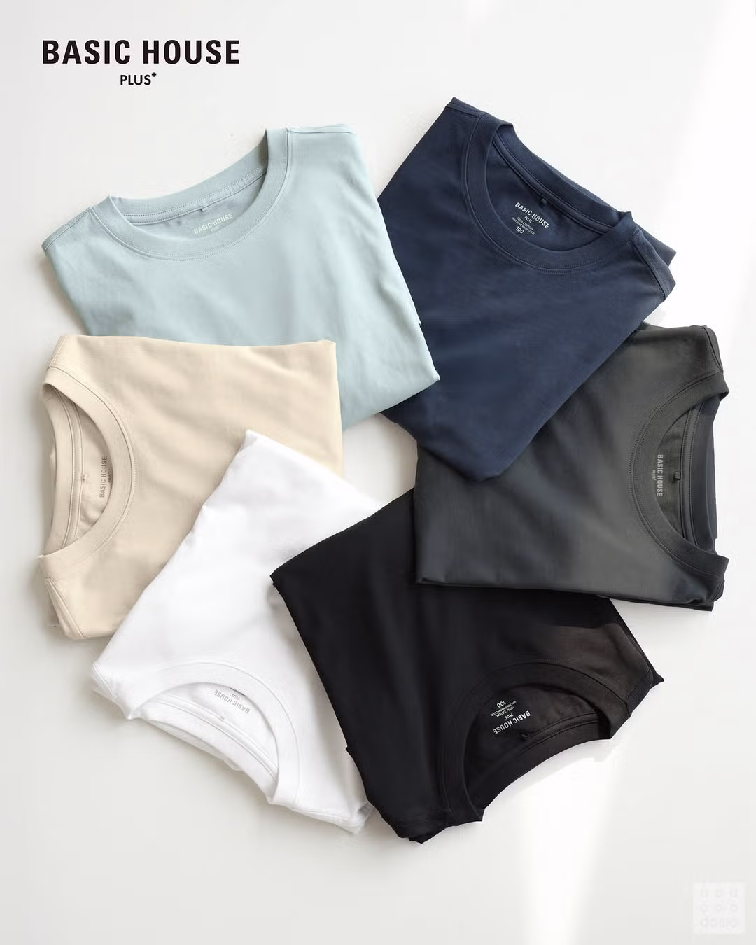 다이소 x 베이직하우스+ 8