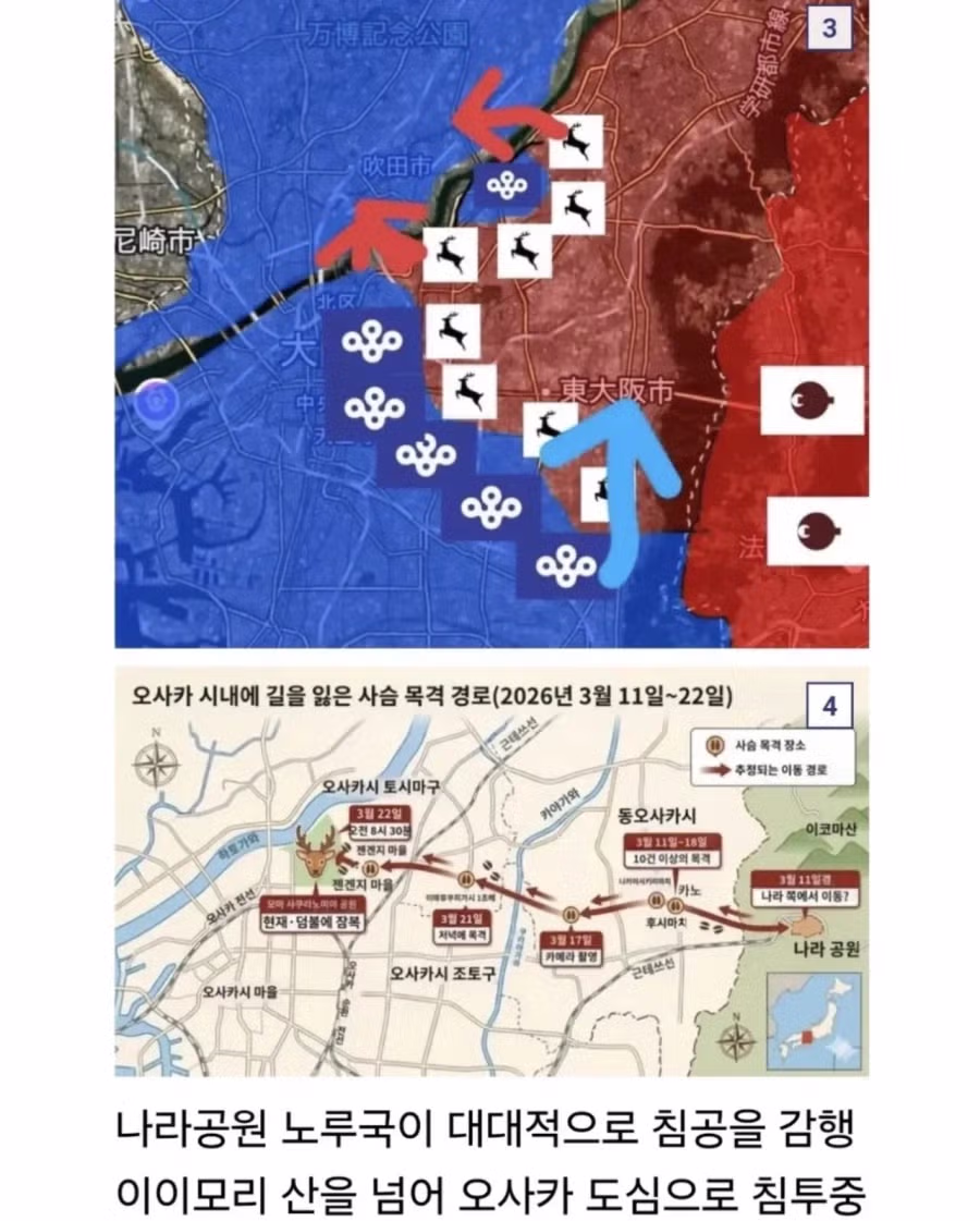 오사카에서 터진 전쟁 근황 2