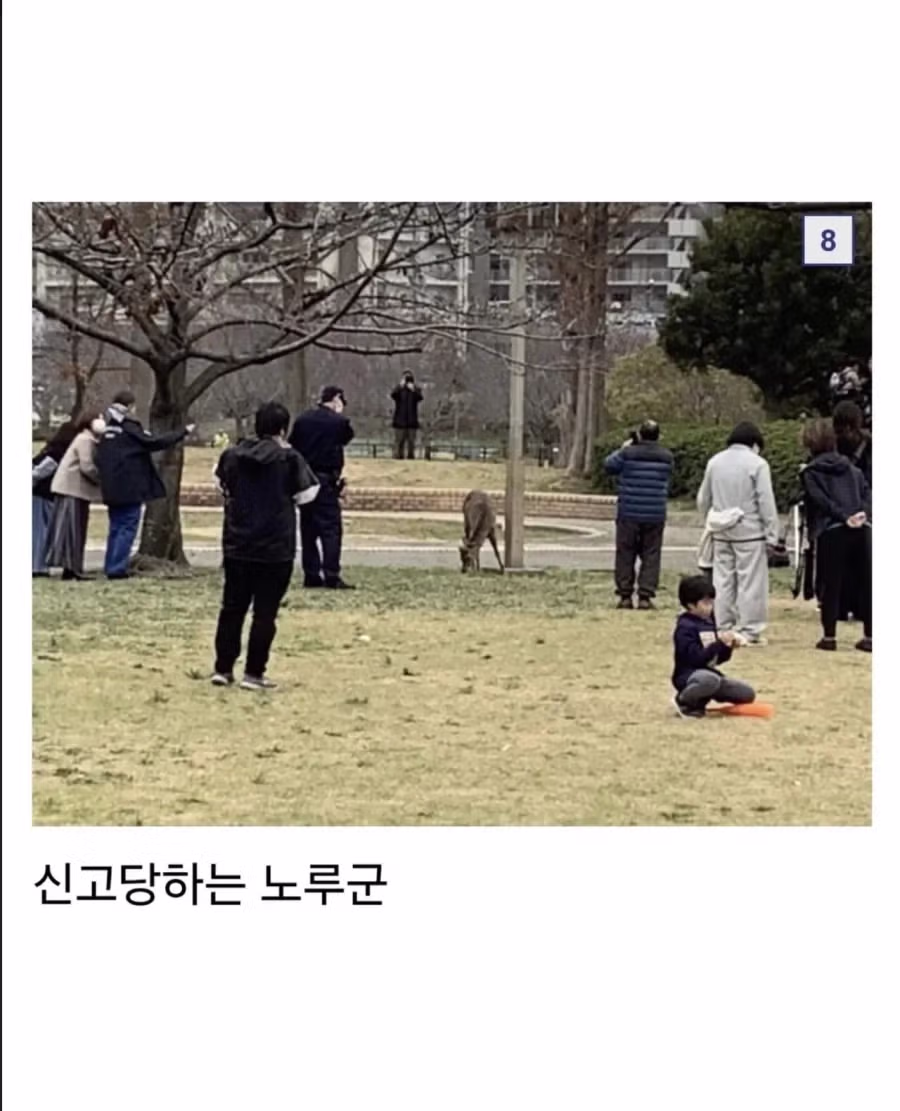 오사카에서 터진 전쟁 근황 6