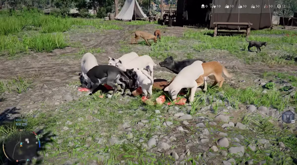 붉은사막 동물농장 건설 6