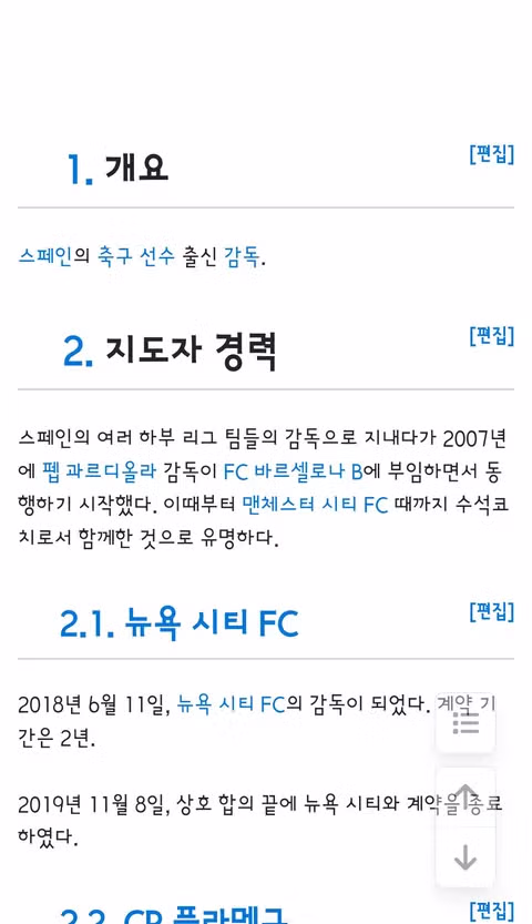 펩의 오른팔 토렌트 코치 한국 축구대표팀 감독직 지원 - 클리앙 인기글 이미지 4 - 밈카세