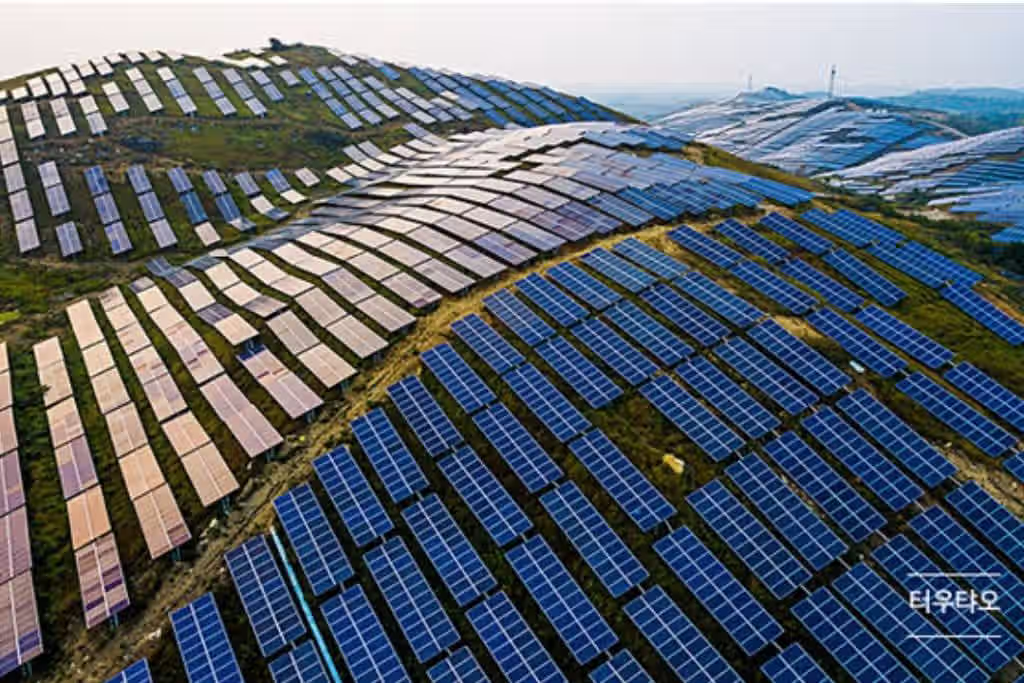 중국 태양광 패널 근황 2