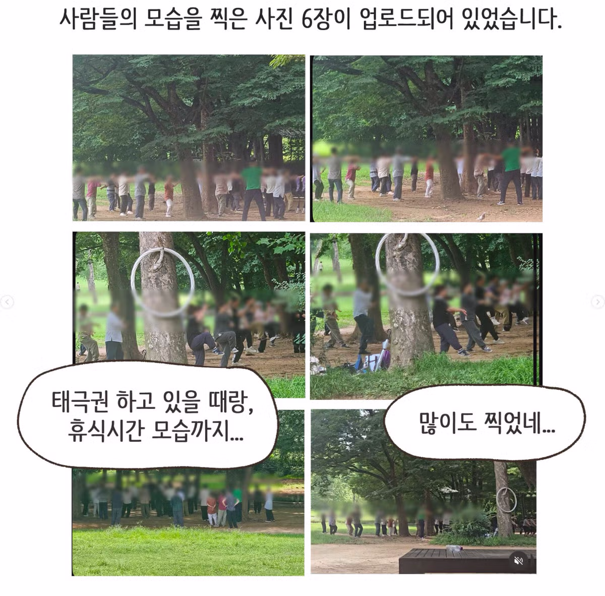 공원 태극권 모임이 중국인으로 오해받아 조리돌림당한 사연 - SLR클럽 인기글 이미지 8 - 밈카세