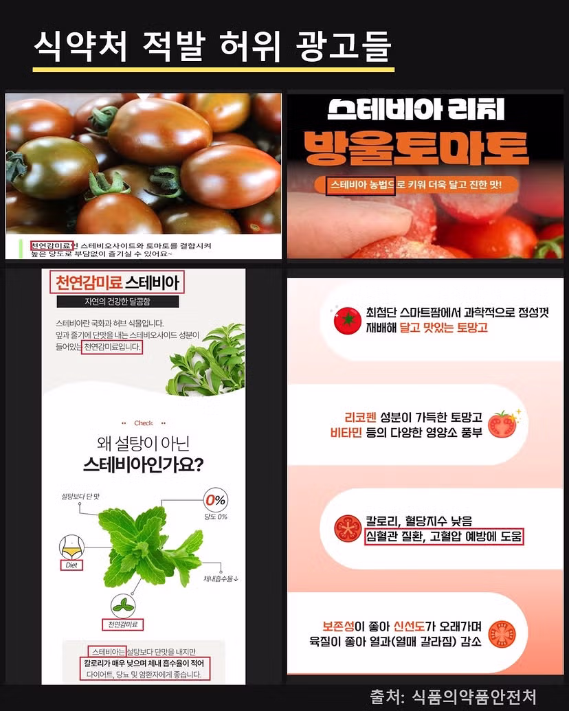스테비아 토마토의 정체와 제조 방식 - SLR클럽 인기글 이미지 2 - 밈카세