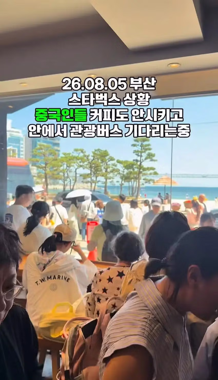 부산 스타벅스의 놀라운 현재 모습 - 뽐뿌 인기글 이미지 4 - 밈카세