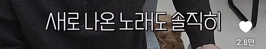 블랙핑크에 대해 소신발언한 말왕의 반응 - 디시인사이드 인기글 이미지 7 - 밈카세