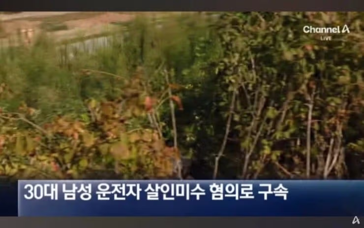 실제로 일어났던 놀라운 사건 - 보배드림 인기글 이미지 8 - 밈카세