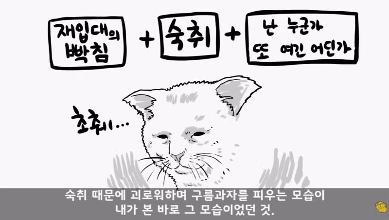 대한민국 군종신부의 멋진 모습 - 보배드림 인기글 이미지 17 - 밈카세