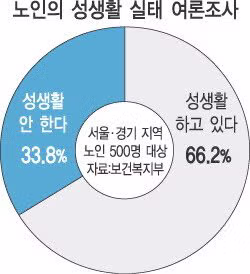 노인 성생활 비율 2