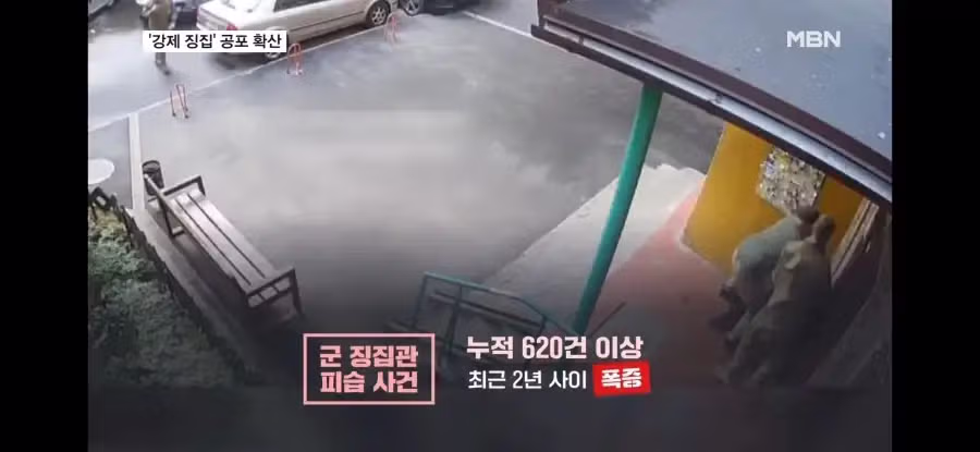우크라이나 징집 현황 근황 - 뽐뿌 인기글 이미지 6 - 밈카세