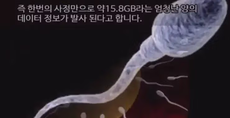 매일 16gb 버리는 남자들 2
