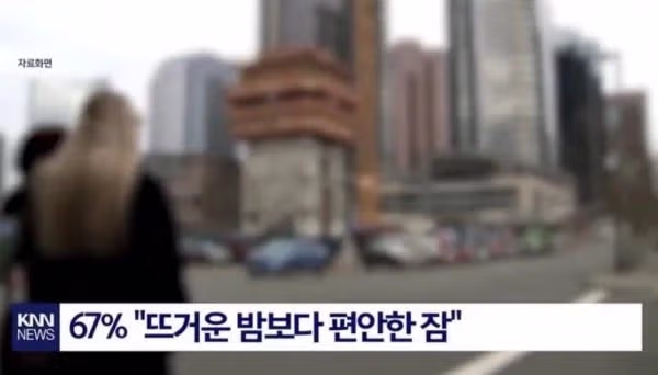 MZ 근황이라는데.. 2