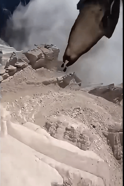 산양에게 바디캠을 달아본 결과 4