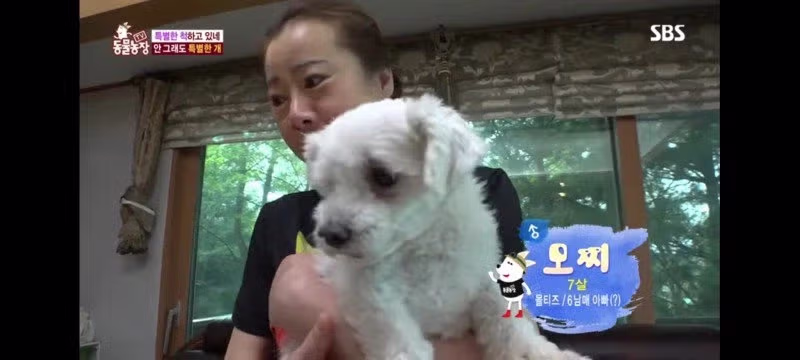 방송에는 차마 내보낼수 없었던 동물농장 에피소드 jpg. 3