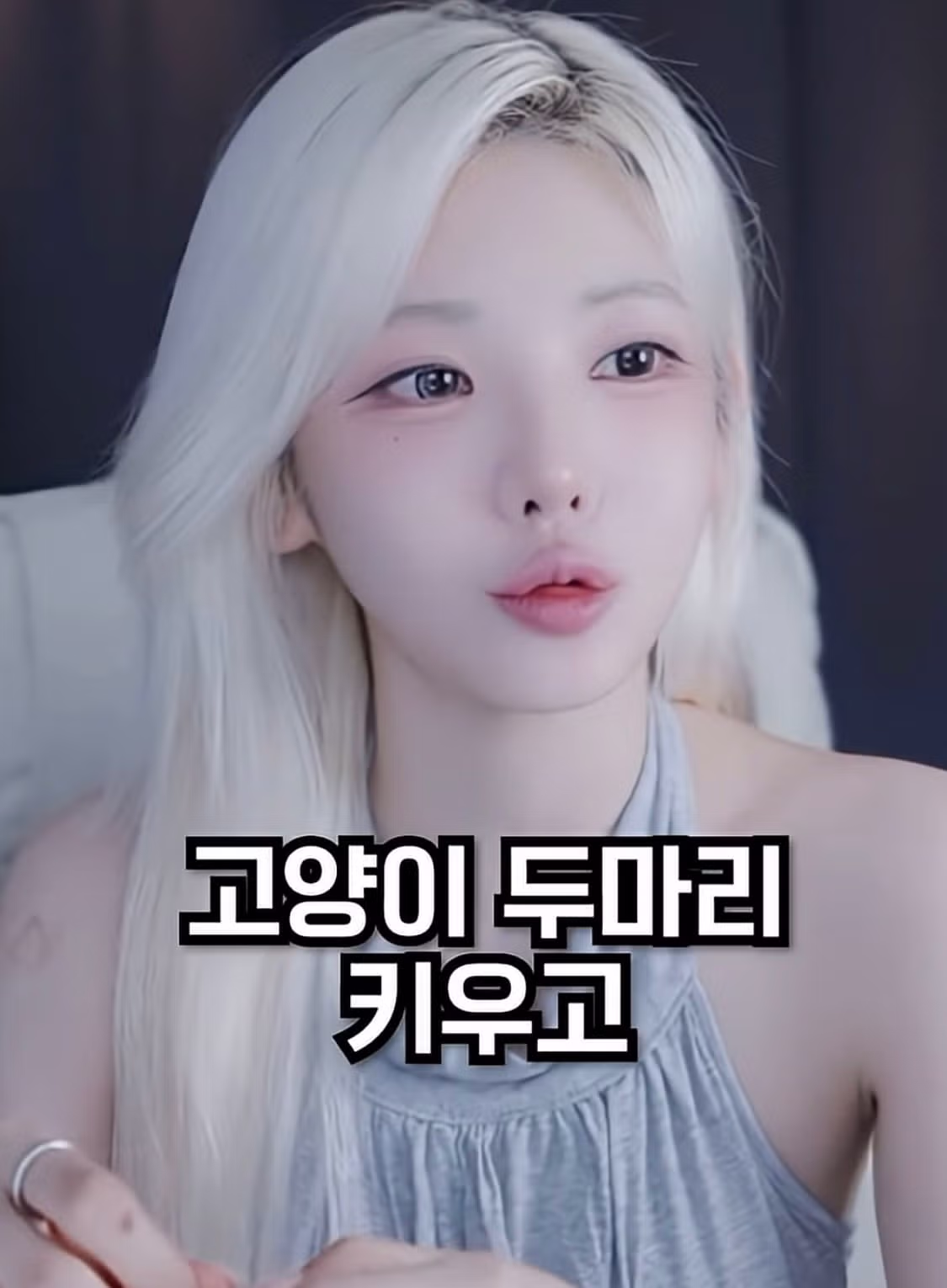 아이폰 쓰는 여자 거른다는 말에 분노한 여캠 - 디시인사이드 인기글 이미지 6 - 밈카세