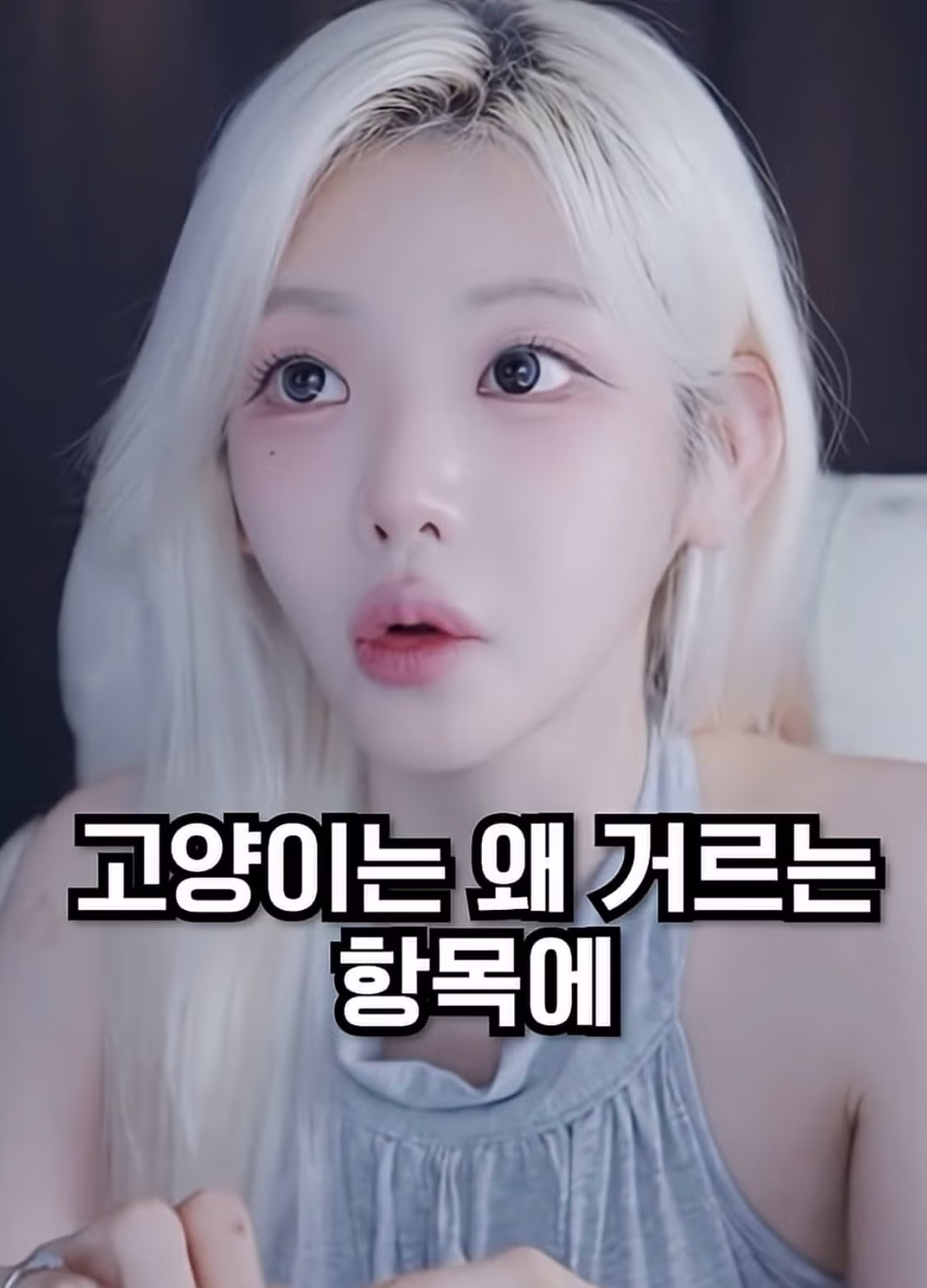 아이폰 쓰는 여자 거른다는 말에 분노한 여캠 - 디시인사이드 인기글 이미지 14 - 밈카세