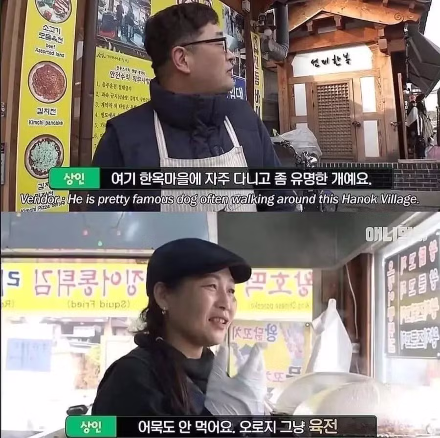 절에 사는 개가 식탐이 없는 이유 - 개드립 인기글 이미지 7 - 밈카세