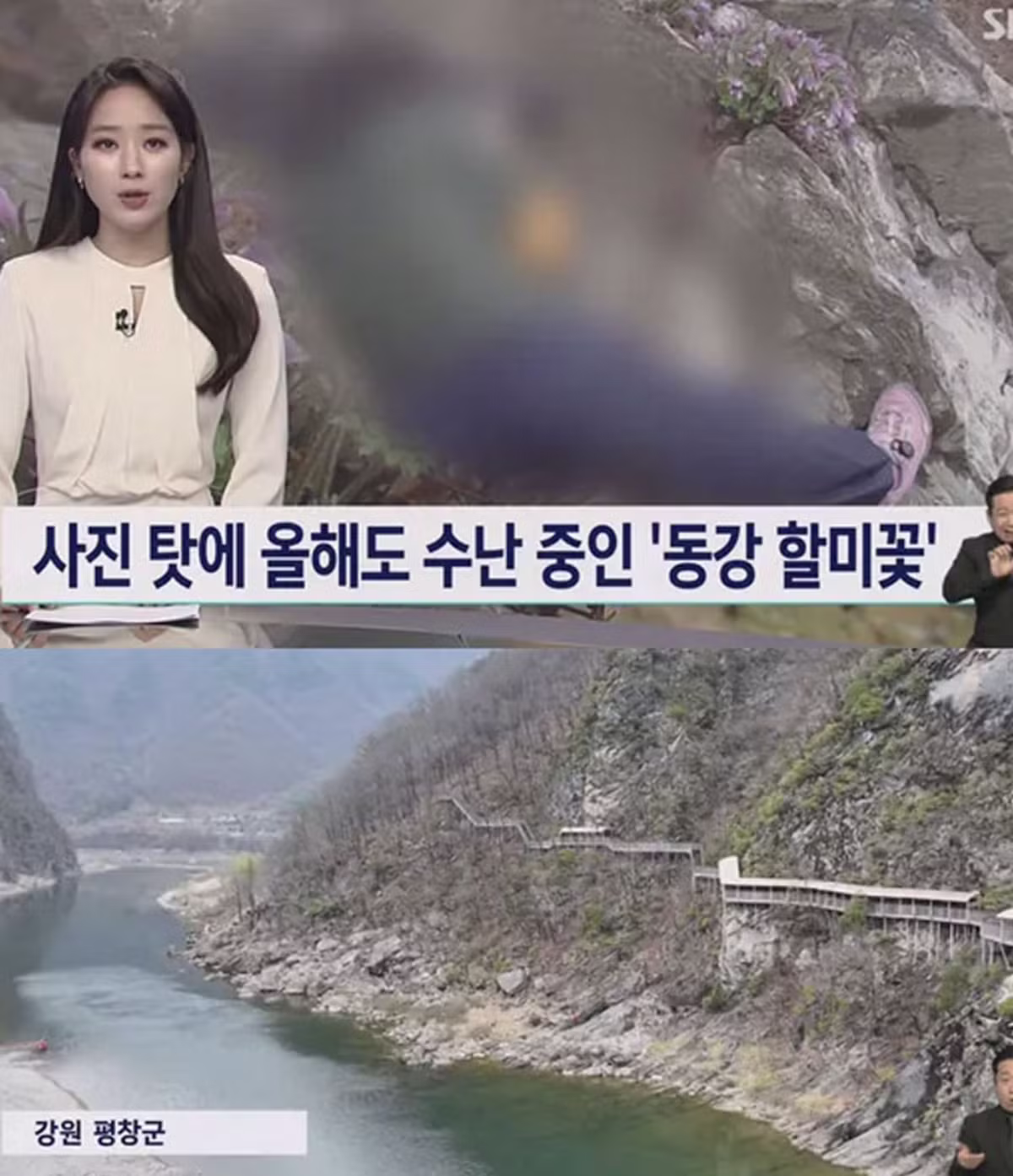 사진작가 협회와 동호회 해산 주장하는 이유 - 인벤 인기글 이미지 2 - 밈카세