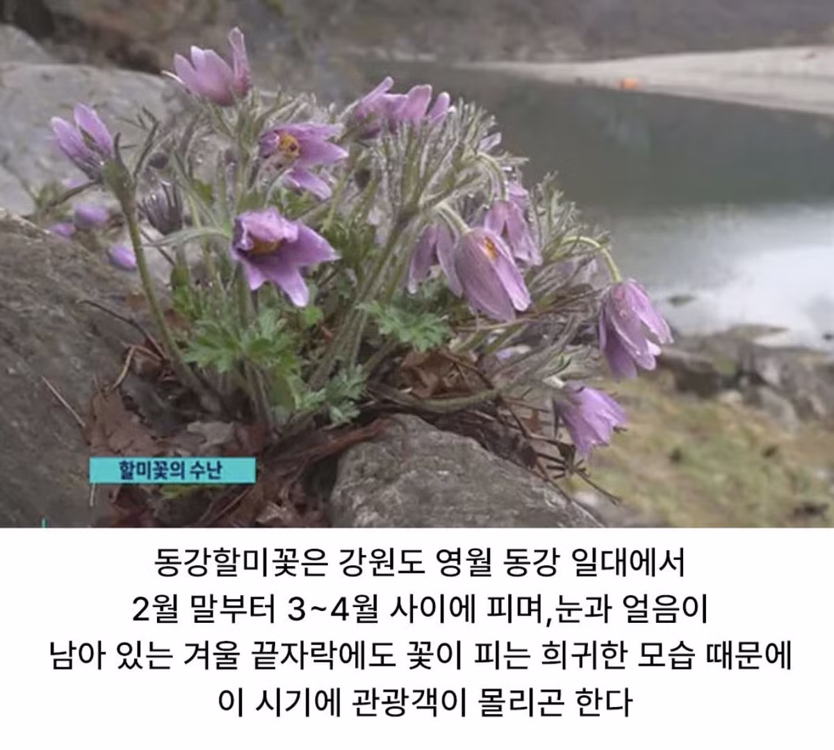 사진작가 협회와 동호회 해산 주장하는 이유 - 인벤 인기글 이미지 3 - 밈카세