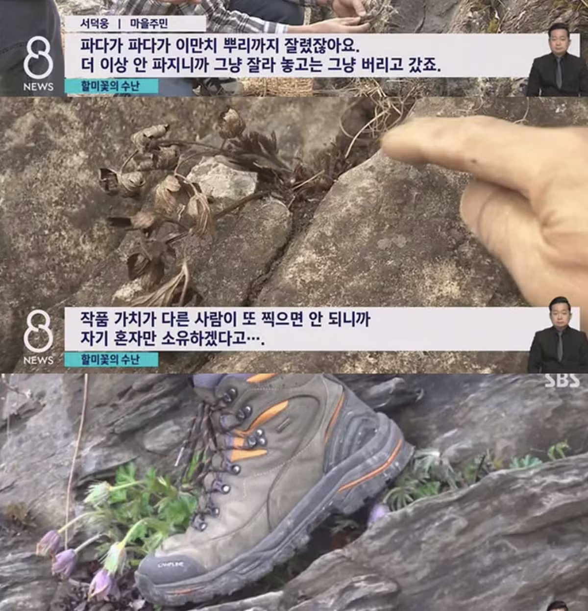 사진작가 협회와 동호회 해산 주장하는 이유 - 인벤 인기글 이미지 5 - 밈카세