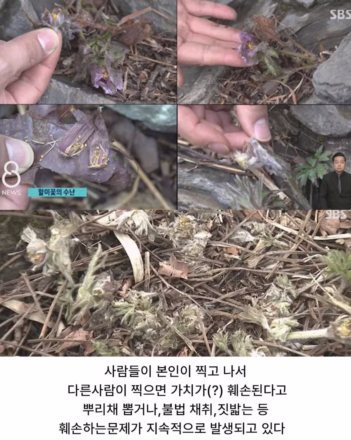 사진작가 협회와 동호회 해산 주장하는 이유 - 인벤 인기글 이미지 6 - 밈카세