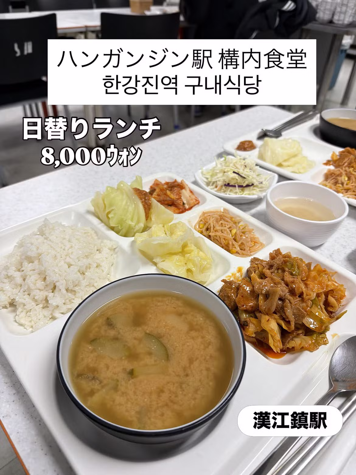 한국에서 이색적인 여행을 즐기는 일본인 - 보배드림 인기글 이미지 4 - 밈카세