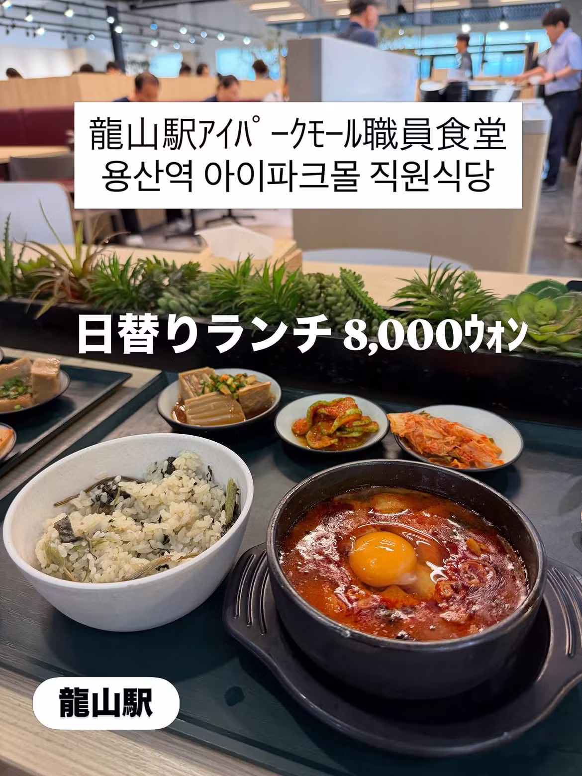 한국에서 이색적인 여행을 즐기는 일본인 - 보배드림 인기글 이미지 14 - 밈카세