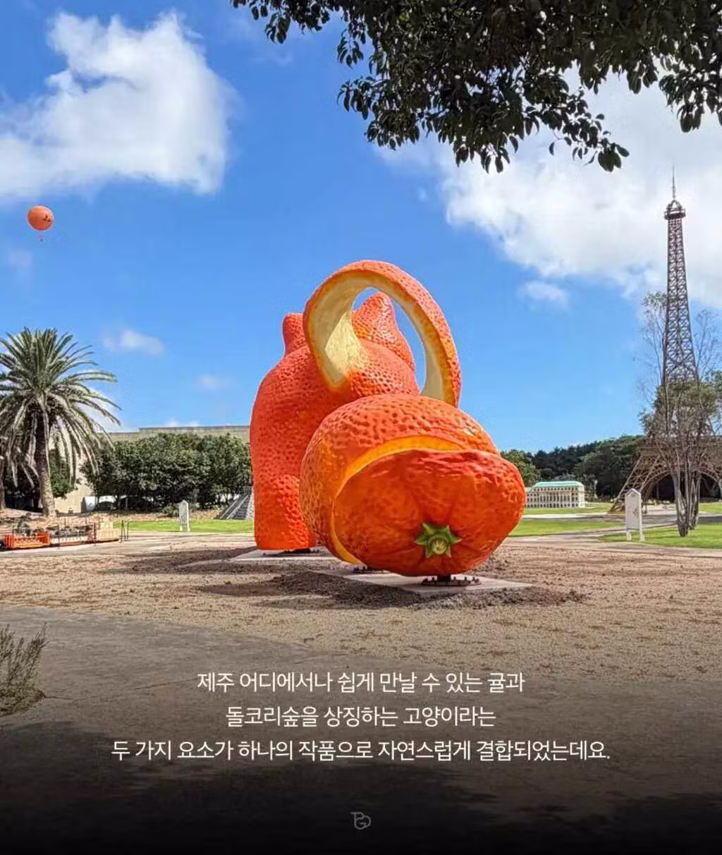 제주도 최근 상황 영상 - 인벤 인기글 이미지 3 - 밈카세