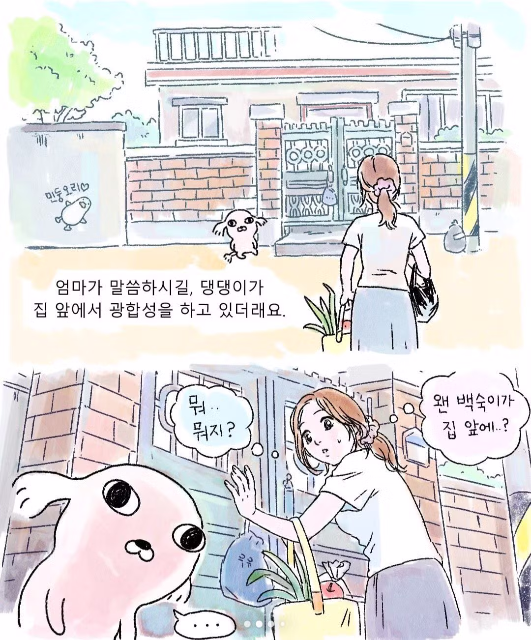 갑자기 찾아온 낯선 강아지 - 보배드림 인기글 이미지 2 - 밈카세