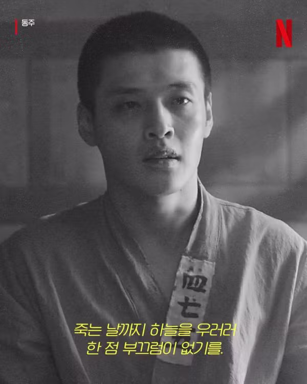 광복절 넷플릭스 코리아의 최근 상황 - 인벤 인기글 이미지 4 - 밈카세