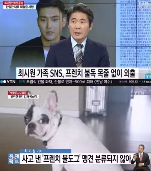 도요토미 히데요시를 좋아하는 연예인 논란 - 뽐뿌 인기글 이미지 3 - 밈카세
