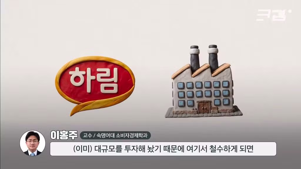 더미식 라면 출시 5년 만에 수천억 원대 적자 기록한 하림 - 인벤 인기글 이미지 12 - 밈카세