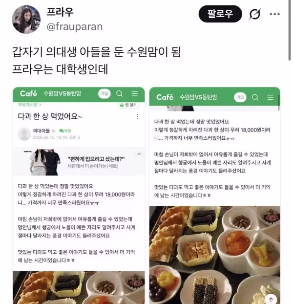 갑자기 의대생 아들이 생긴 수원 엄마 - 인벤 인기글 이미지 2 - 밈카세