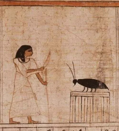 이집트 벽화에 그려진 바퀴벌레 2