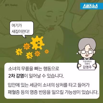 소설 소나기 속 소녀가 죽은 이유 - 보배드림 인기글 이미지 2 - 밈카세
